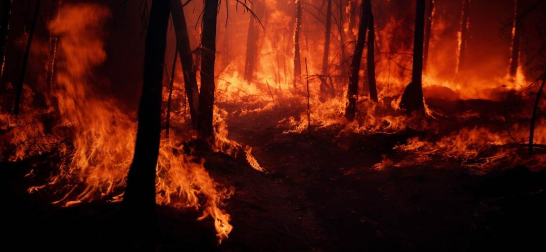 incendio más grande en California